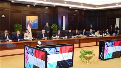 وزير الخارجية يؤكد الحاجة المُلحة لاستمرار حشد الدعم الدولي لتنفيذ الخطة العربية لإعادة إعمار غزة