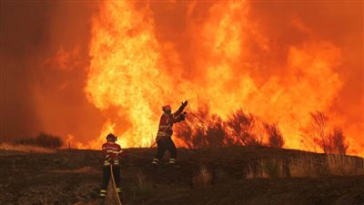 حرائق الغابات تواصل التهام مساحات شاسعة في جنوب أوروبا وسط موجة حر قاسية