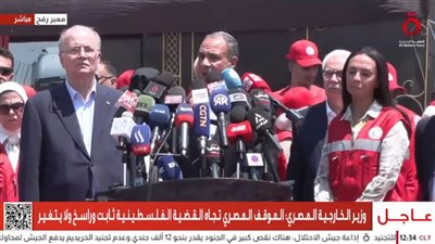 وزير الخارجية: مصر تطرح حلولا خلاقة للتوصل إلى صفقة لإنهاء الحرب على غزة