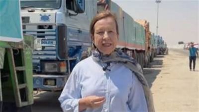 الخارجية المصرية