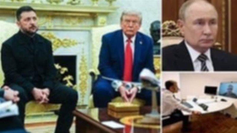 بوتين وترامب وزيلينسكي