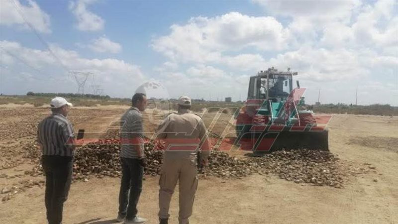 ازالة مناشر الأسماك