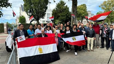 ملحمة وطنية جديدة.. أبناء مصر بهولندا يساندون وطنهم ضد المؤامرات