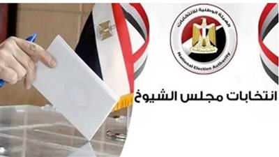 بدء تصويت المصريين بفرنسا في جولة الإعادة بانتخابات مجلس الشيوخ