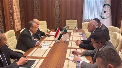 مشاورات مصرية جزائرية في جدة لتعزيز العلاقات الثنائية وبحث المستجدات الإقليمية
