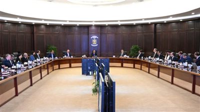 رئيس الوزراء يتابع جهود توفير المنتجات البترولية لقطاعي الصناعة والزراعة 