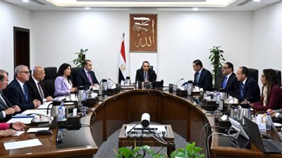 رئيس الوزراء يستعرض آليات تنفيذ مشروعات الكهرباء بالمدن الجديدة بمشاركة القطاع الخاص