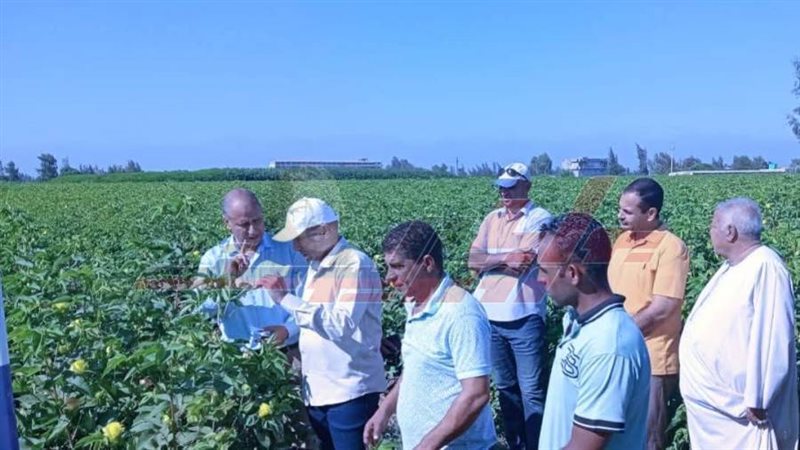 الجولة التفقدية