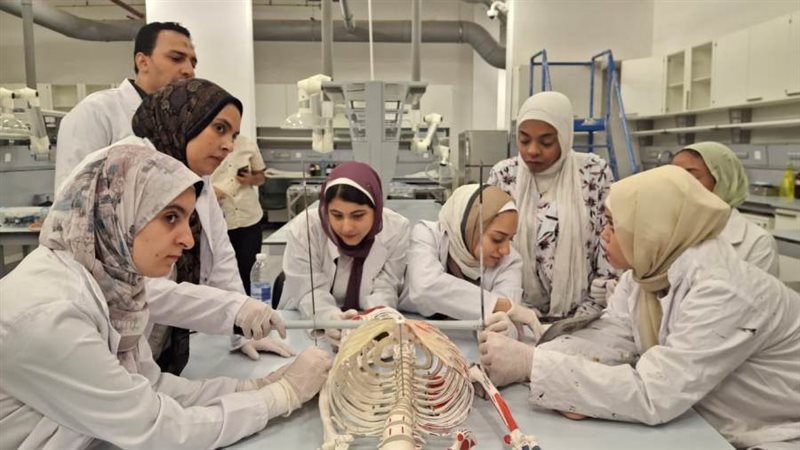 البرنامج التدريبي