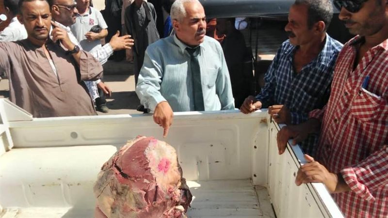 حملات تفتيشية