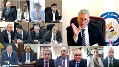 بدوي: 5.6 مليار حجم إيرادات شركة البتروكيماويات