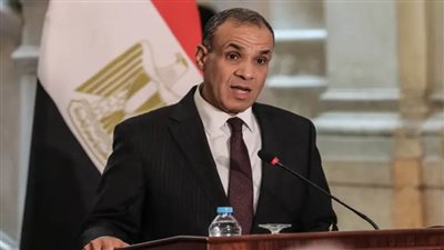 وزير الخارجية: مصر تعمل على تخفيف معاناة الشعب الفلسطيني في غزة