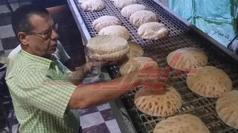 الحملات الرقابية