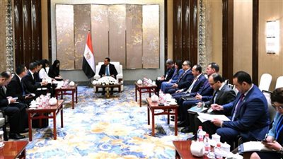 رئيس الوزراء يلتقي رئيسة شركة جيانغسو فينغهاي المحدودة لتطوير تحلية مياه البحر