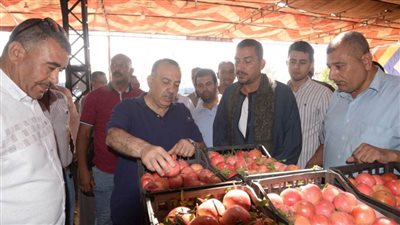 محافظ أسيوط يتفقد مواقع تجهيز وتصدير 