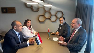 وزيرا خارجية مصر والأردن يؤكدان رفض العدوان الإسرائيلي والتهجير ويدعوان لوقف فوري لإطلاق النار بغزة