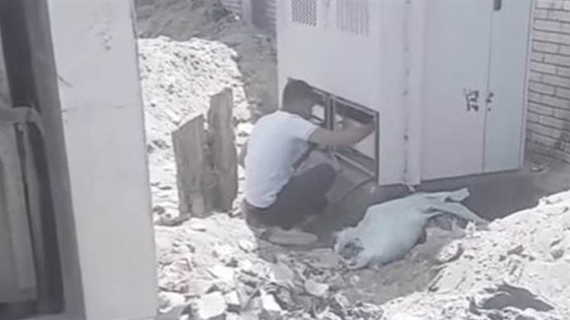 بوابة روز اليوسف