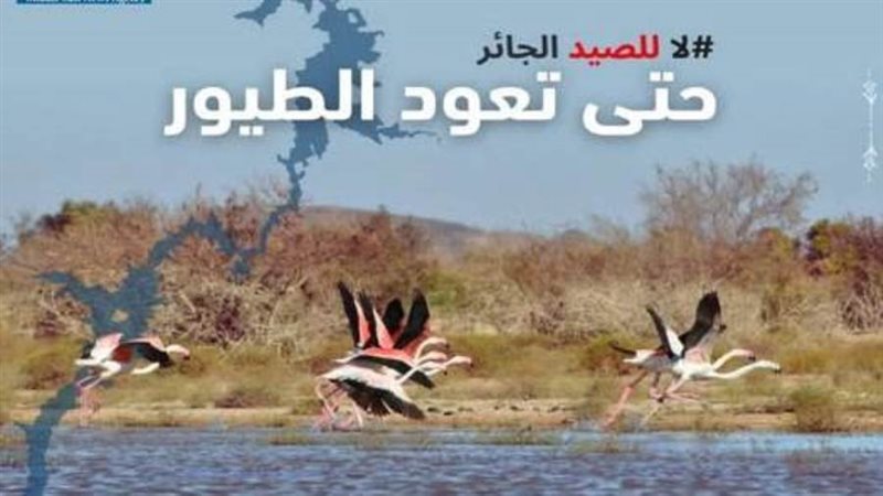 الصيد الجائر