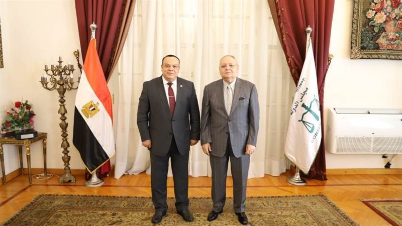 مجلس الدولة