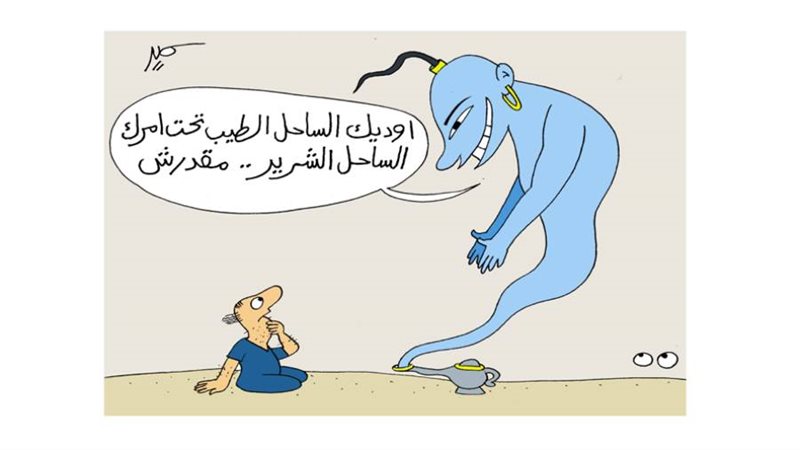 ريشة - سمير عبد الغني