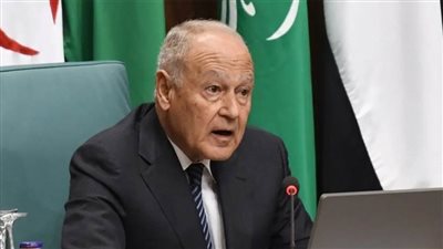 أبو الغيط يؤكد أهمية دعم صمود الفلسطينيين ومؤسساتهم والحفاظ على مشروع الدولة المستقلة