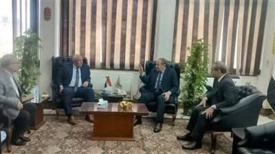 محافظ الوادي الجديد: شراكة مع 