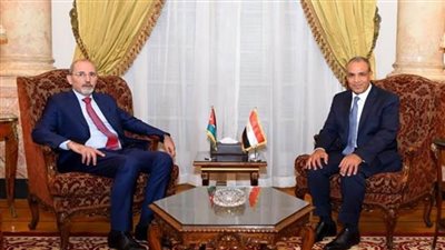 وزير الخارجية ونظيره الأردني يؤكدان استمرار جهود الوقف الفوري لإطلاق النار في غزة