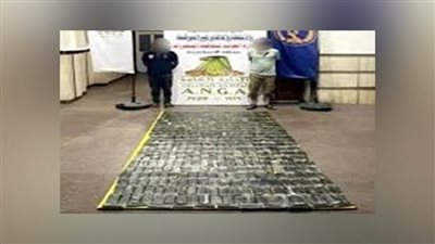عاجل.. ضبط مخدرات بـ77 مليون جنيه ومقتل عنصرين شديدي الخطورة