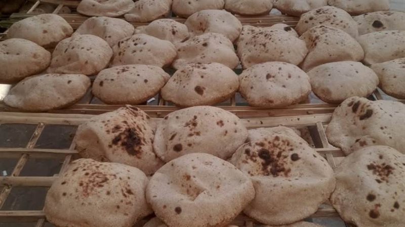 حملات تموينية متنوعة