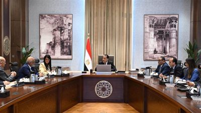 رئيس الوزراء يلتقي المدير التنفيذي لمصر بمجموعة البنك الدولي