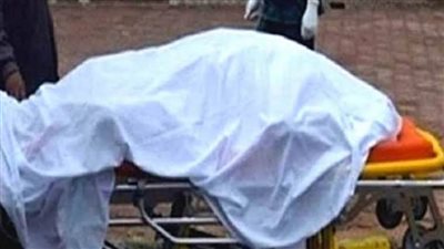 مصرع ربة منزل تحت عجلات قطار الزقازيق بمنيا القمح بالشرقية.. تفاصيل