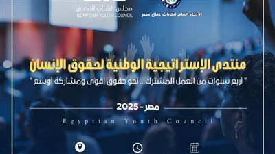 مجلس الشباب المصري و