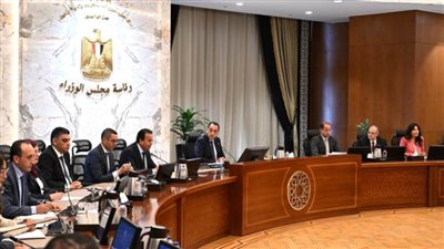 رئيس الوزراء يتابع جهود توفير الأدوية والمستلزمات الطبية وإجراءات توطين صناعة الدواء في مصر