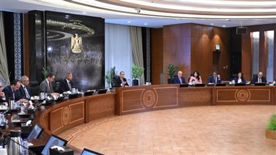 مدبولي: نؤمن احتياجات الدولة المصرية من الغاز ومصادر الطاقة لـ5 سنوات مقبلة