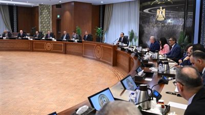 رئيس الوزراء: مستحقات الشركاء الأجانب في قطاع البترول انخفضت إلى النصف