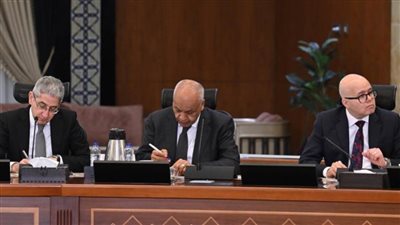 رئيس الوزراء: نظام 