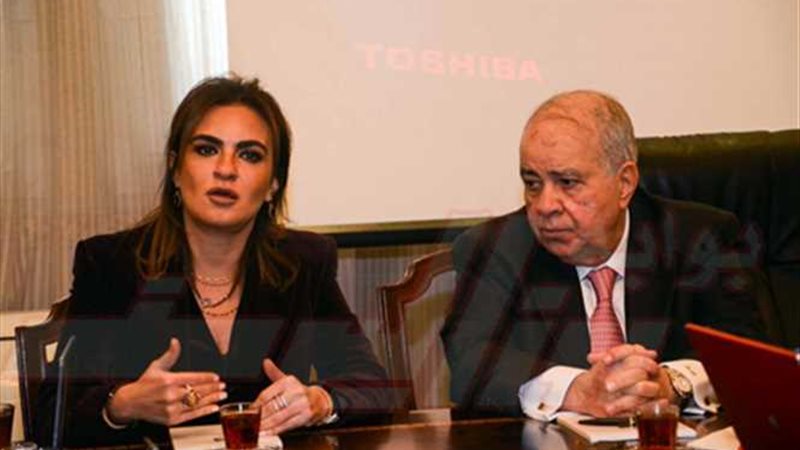 وزيرة التعاون الدولى