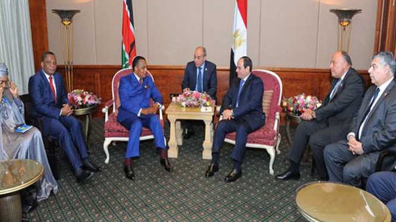 السيسي يستقبل رئيس