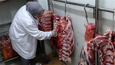 المنيا.. حملات مستمرة للتفتيش على اللحوم لحماية صحة المواطنين