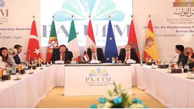 «مصر تقود موقفًا تاريخيًا للأورومتوسطي» لإدانة العدوان الإسرائيلي على غزة والضفة الغربية