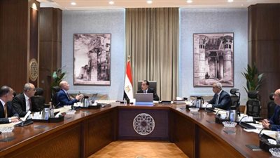 رئيس الوزراء يتابع مع محافظ القاهرة الموقف التنفيذي الحالي لعدد من المشروعات