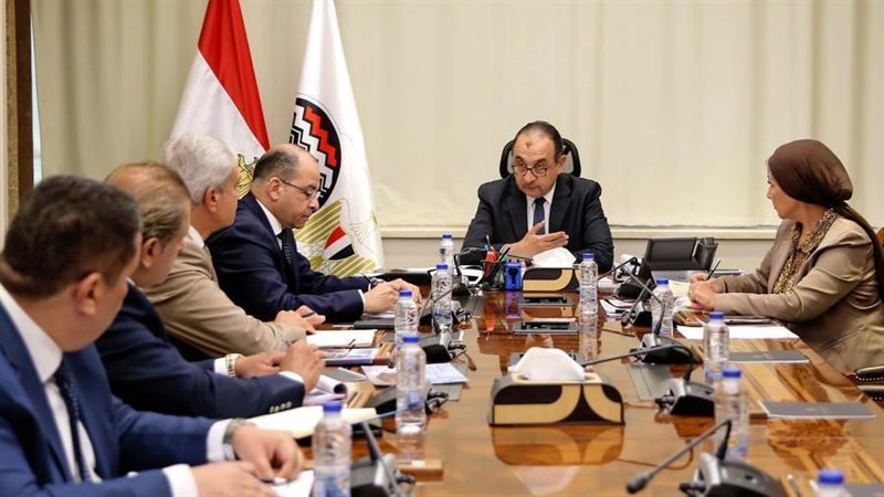 وزير قطاع الأعمال