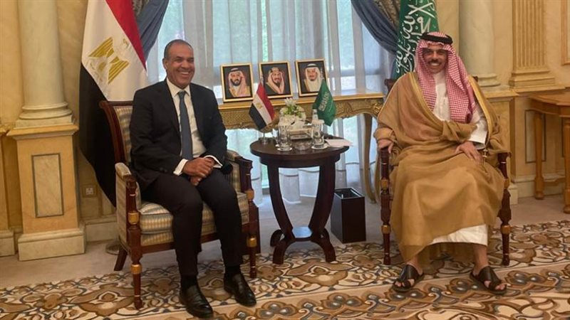 وزير الخارجية ونظيره