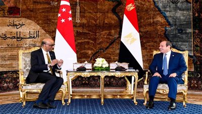 الرئيس السيسي يؤكد لنظيره السنغافوري على موقف مصر الثابت ضد تهجير الفلسطينيين