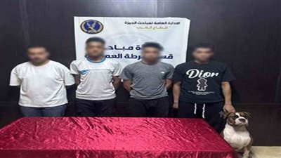 كشف ملابسات تداول فيديو بقيام بعض الأشخاص بتعاطي المخدرات وبحوزتهم كلب بالجيزة