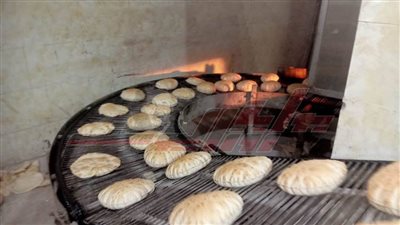 ضبط 19 مخالفة تموينية في كفر الشيخ