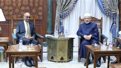 شيخ الأزهر يستقبل رئيس سنغافورة ويتفقان على مواصلة الضغط لوقف العدوان على غزة