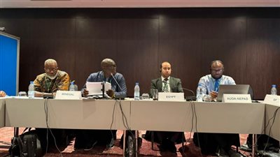  انتخاب هيئة الدواء المصرية نائبًا لرئيس اللجنة التوجيهية لمراقبة السلامة بالاتحاد الأفريقي