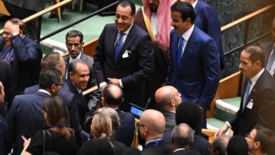 مشاهد من فرحة الوفد المصري بإعلان الرئيس الفرنسي الاعتراف بالدولة الفلسطينية 