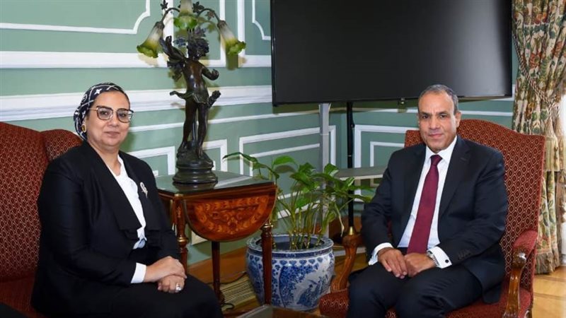 د. بدر عبد العاطى